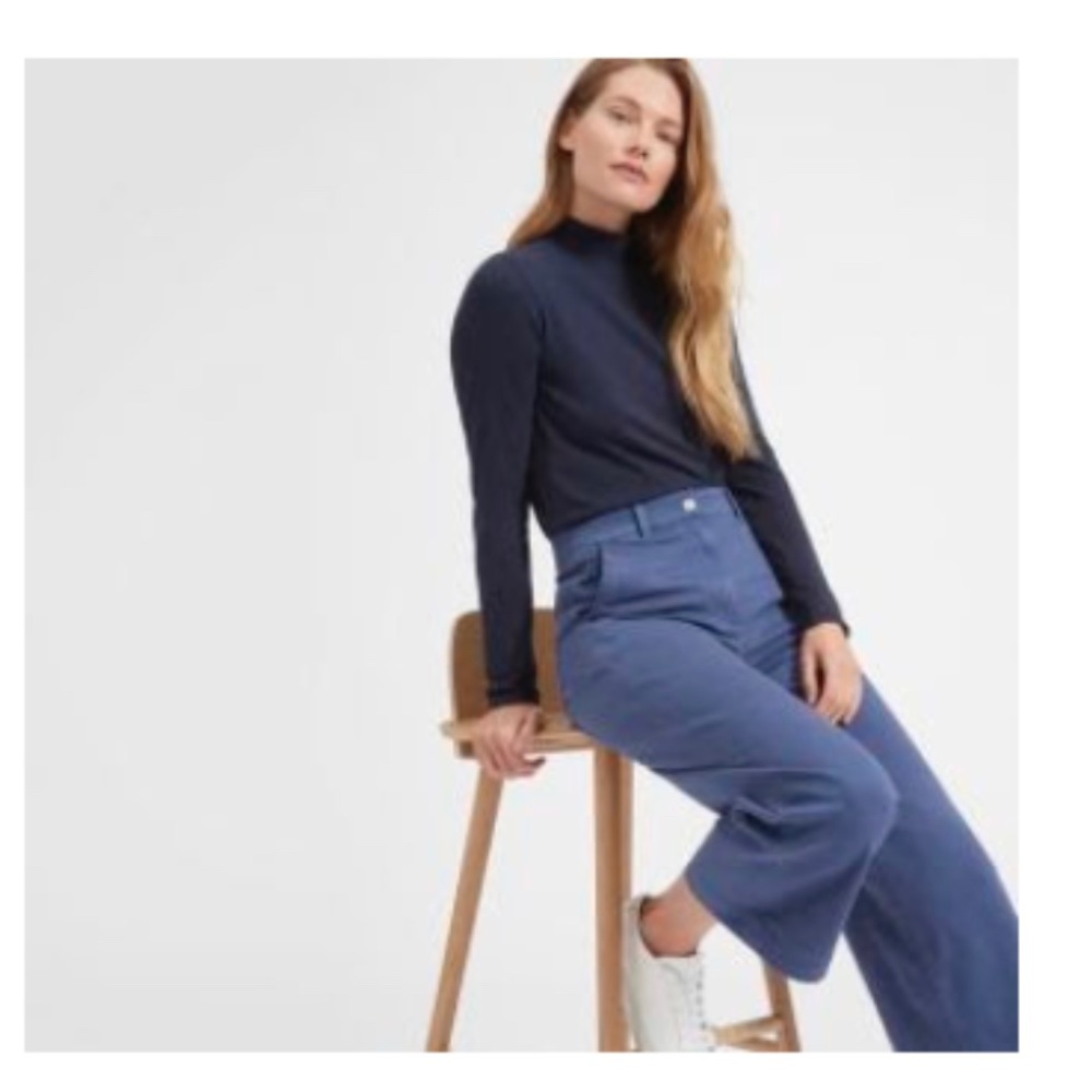 Everlane Blue High Waisted Flat Front Wide Leg Crop Pant Size 4